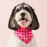 【預購】純棉領巾— Pink and Red Houndstooth