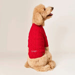 紅色麻花針織毛衣 Red Cable Knit