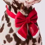 聖誕老人蝴蝶結 Santa Paws