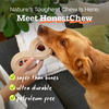 HonestChew 安心植物啃咬骨