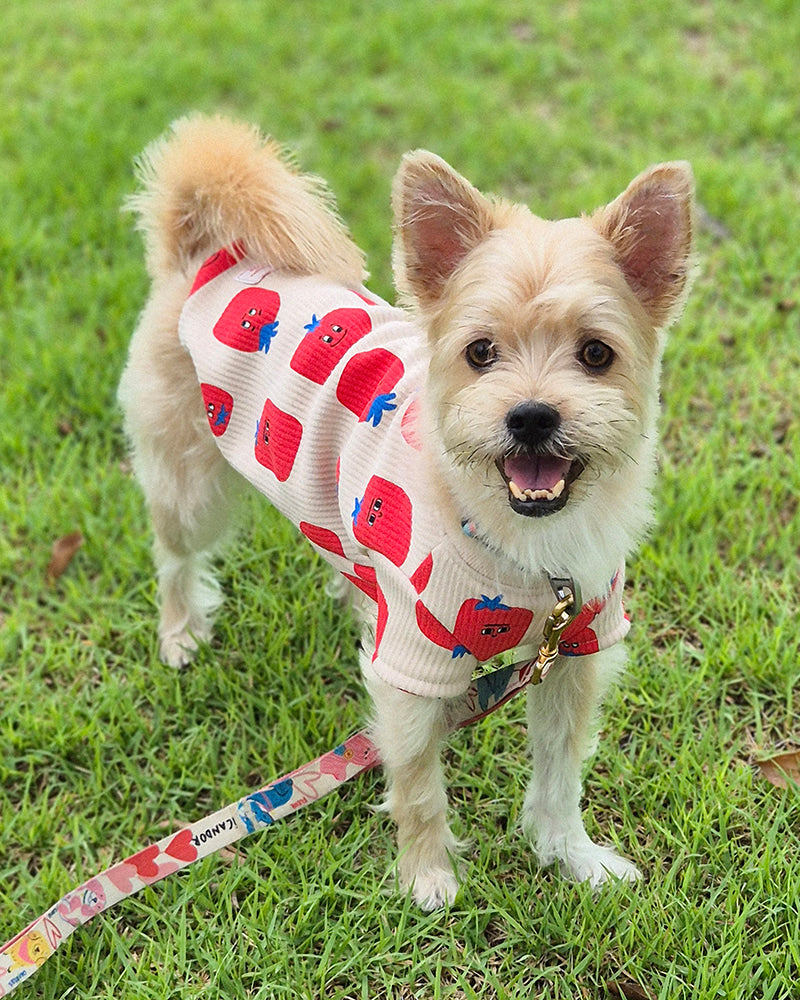 【預購】暖暖番茄刷毛短袖上衣－米色