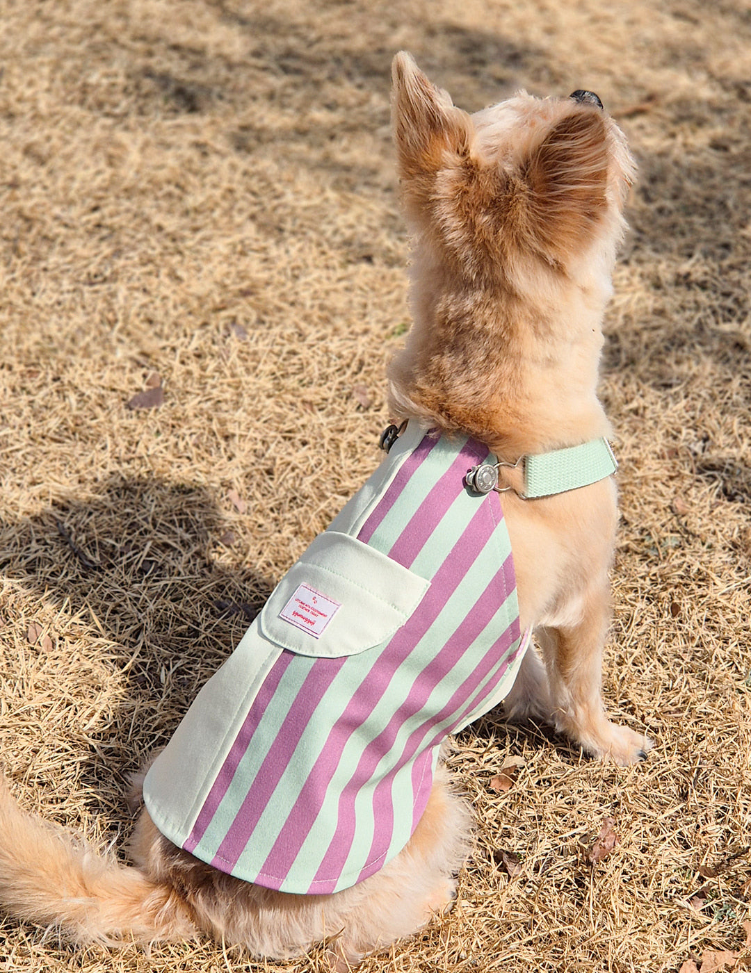 【預購】Half & Half 拼色吊帶裙-綠紫