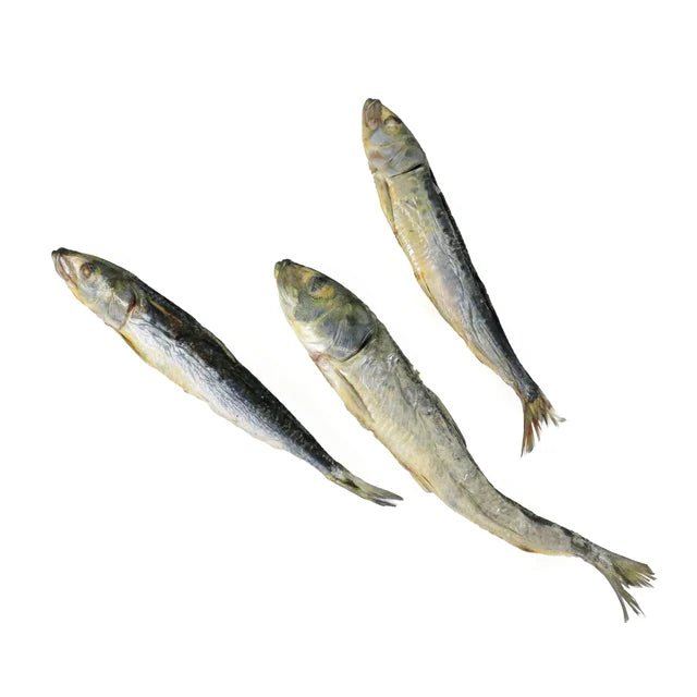 你是風兒我是沙 (沙丁魚3隻)