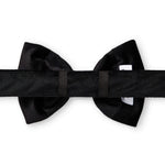 黑色天鵝絨領結 Black Velvet