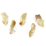 小兔亂撞40g (兔腳)