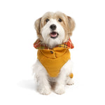 DUBLIN COAT｜都柏林經典格紋夾克 – 黃色