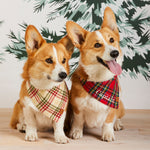 【預購】蛋酒格子法蘭絨領巾Eggnog Plaid Flannel