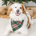 【預購】歡樂格紋法蘭絨領巾 Holly Jolly Plaid Flannel