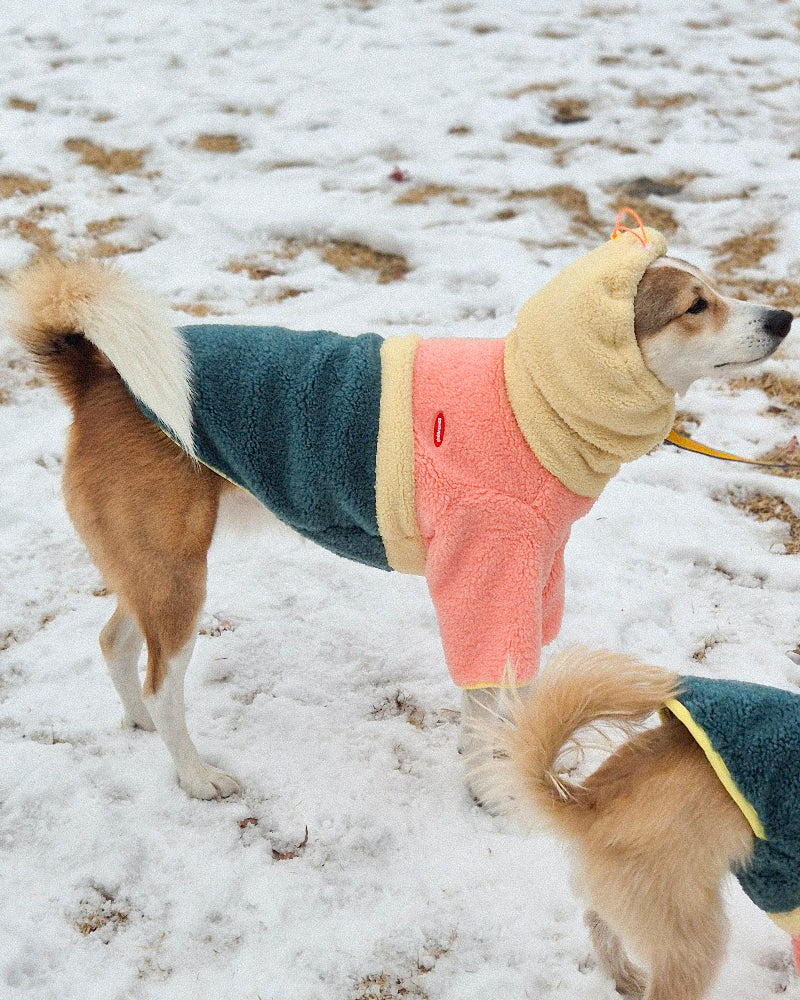 【預購】Fleece 粉嫩撞色刷毛狗狗上衣－蜜桃綠