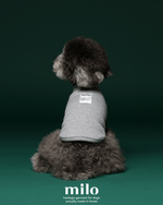 雙色高領T-Shirt 灰色款
