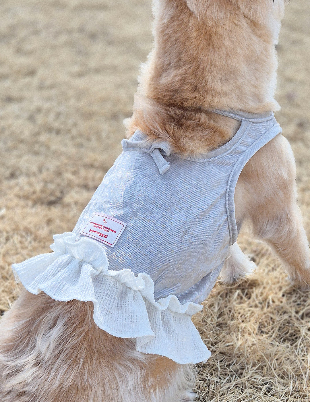 【預購】芭蕾絲綢銀色小洋裝