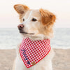 夏日紅格紋純棉領巾 Red Gingham Summer