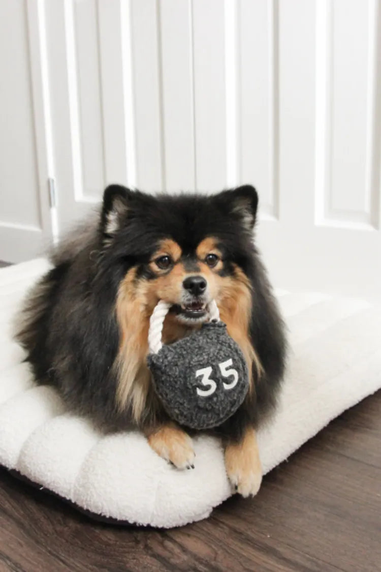 絨毛壺鈴KETTLEBELL