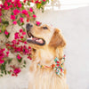 花園派對蝴蝶結 Garden Party Lady Dog Bow