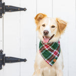 【預購】歡樂格紋法蘭絨領巾 Holly Jolly Plaid Flannel