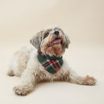 【預購】歡樂格紋法蘭絨領巾 Holly Jolly Plaid Flannel